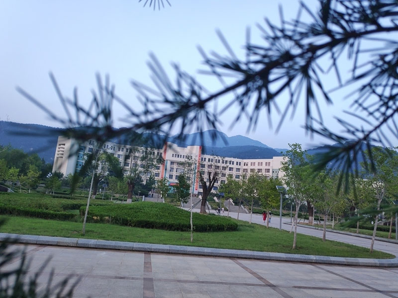 浙江乐清分理处